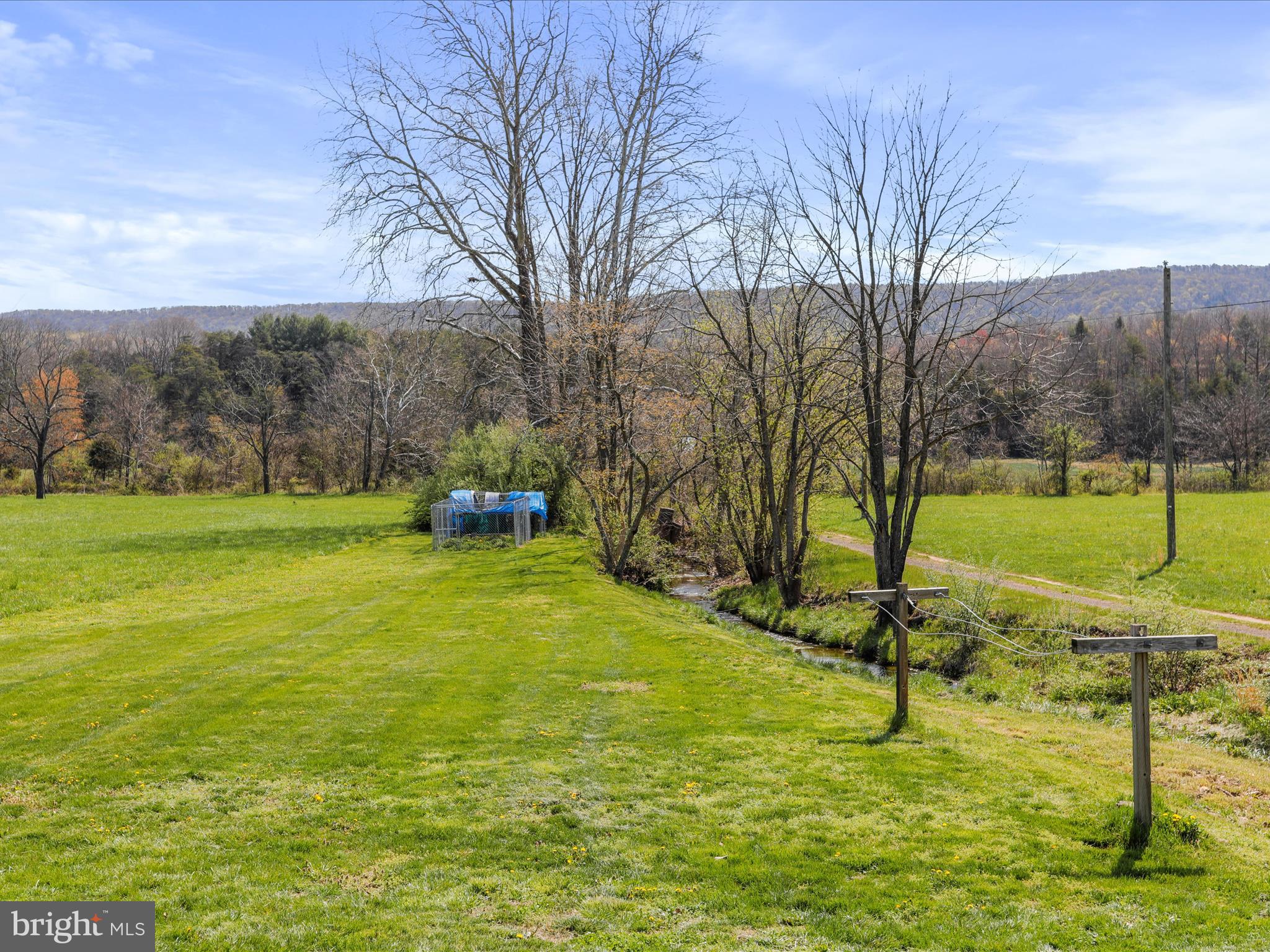 8610 Fort Valley Road Fort Valley, VA 22652 - Photo 50 of 61 rear yard