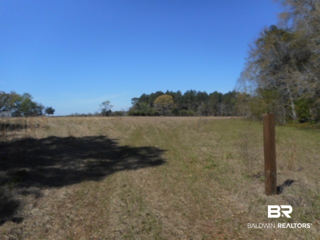 23597 North River Road Daphne, AL 36526 - Photo 3 of 5 Gallery Image 3