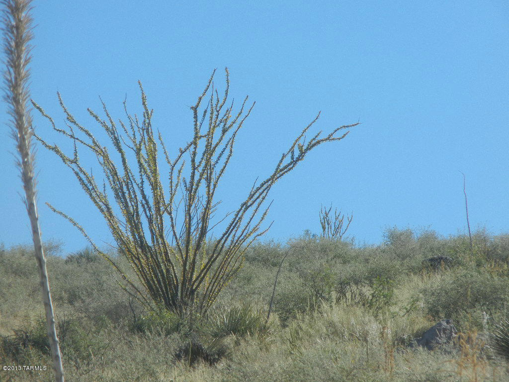 East Indian Ridge Road Pearce, AZ 85625 - Photo 12 of 24