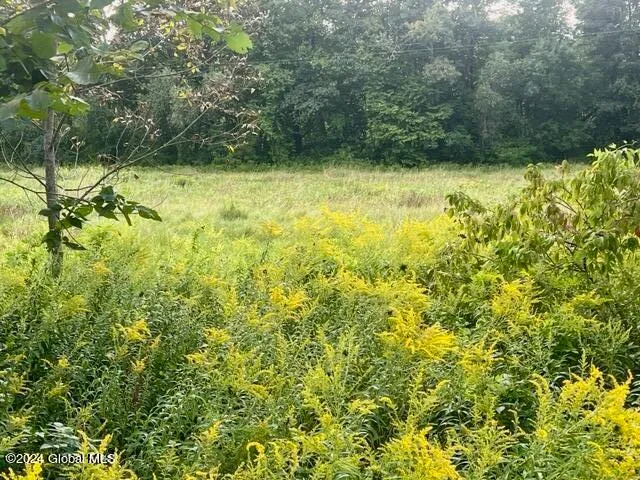 $245,000 | L5 West River Road, Gansevoort, NY 12831