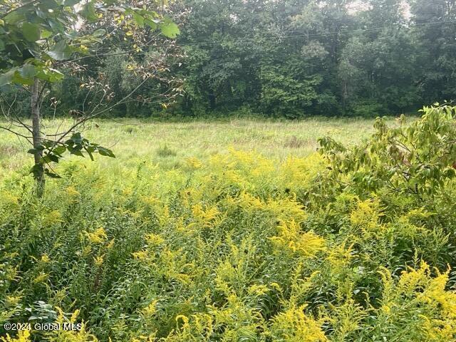 L5 West River Road Gansevoort, NY 12831 - Photo 2 of 6 IMG_1499