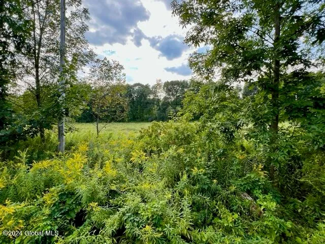 $245,000 | L5 West River Road, Gansevoort, NY 12831