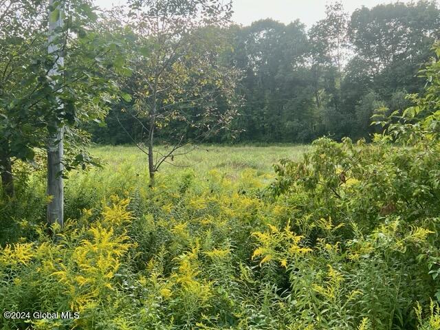 L5 West River Road Gansevoort, NY 12831 - Photo 4 of 6 IMG_1501