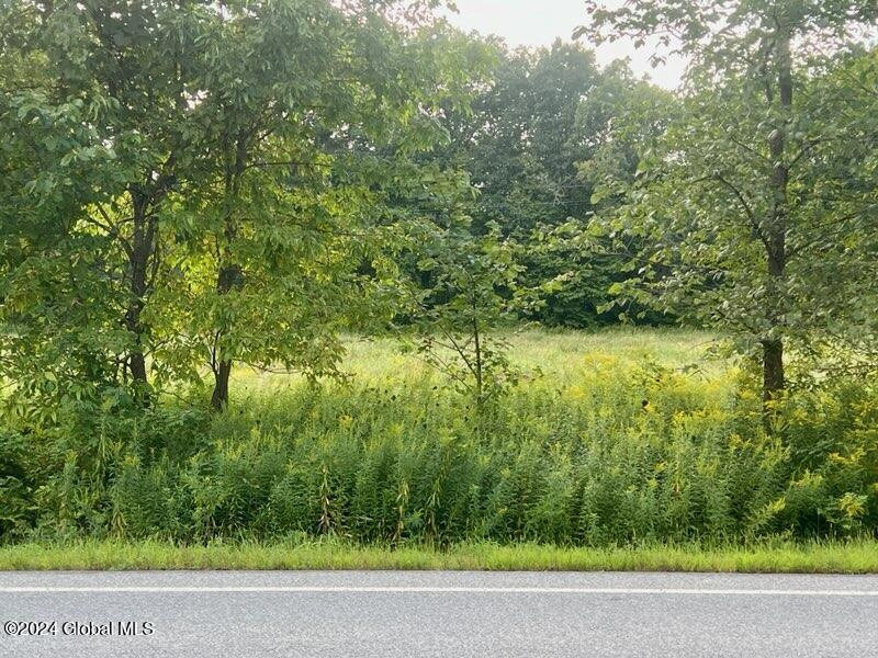 L5 West River Road Gansevoort, NY 12831 - Photo 5 of 6 IMG_1505