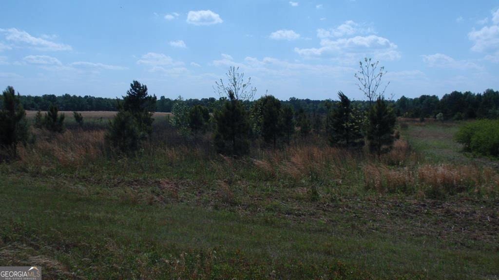 0 Pendleton Creek Road East Dublin, GA 31027 - Photo 1 of 1 Main View