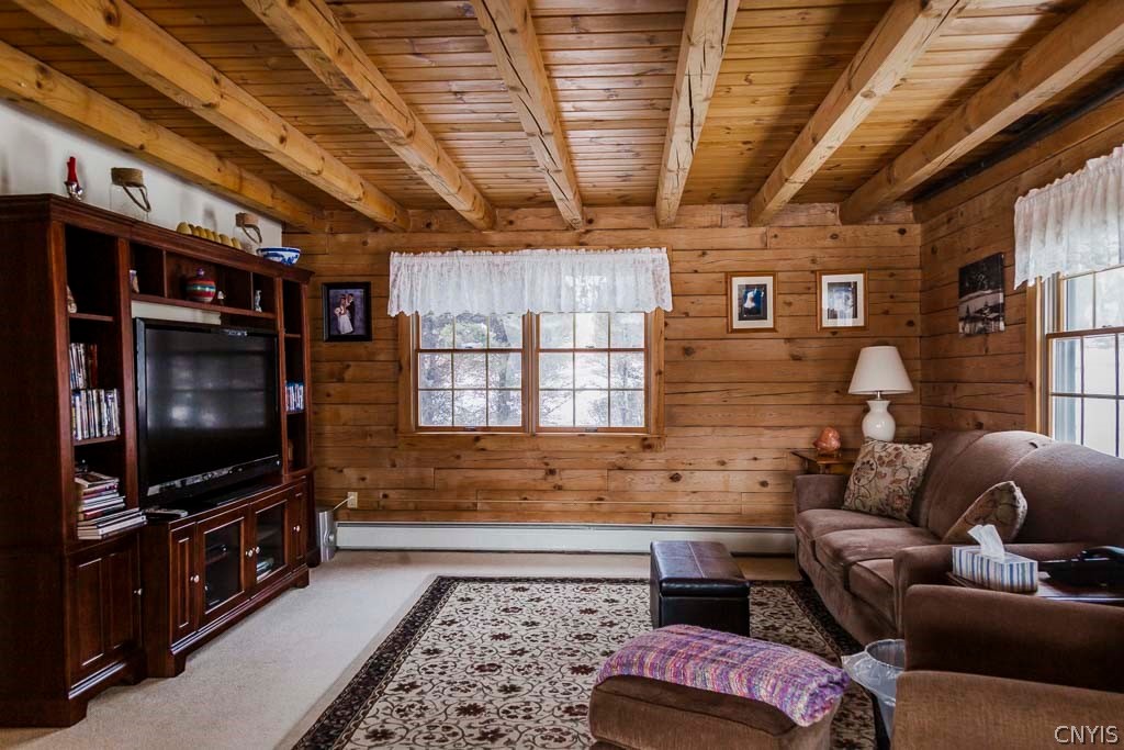225 Kostenko Sutton Road McDonough, NY 13801 - Photo 25 of 28 Gallery Image 25
