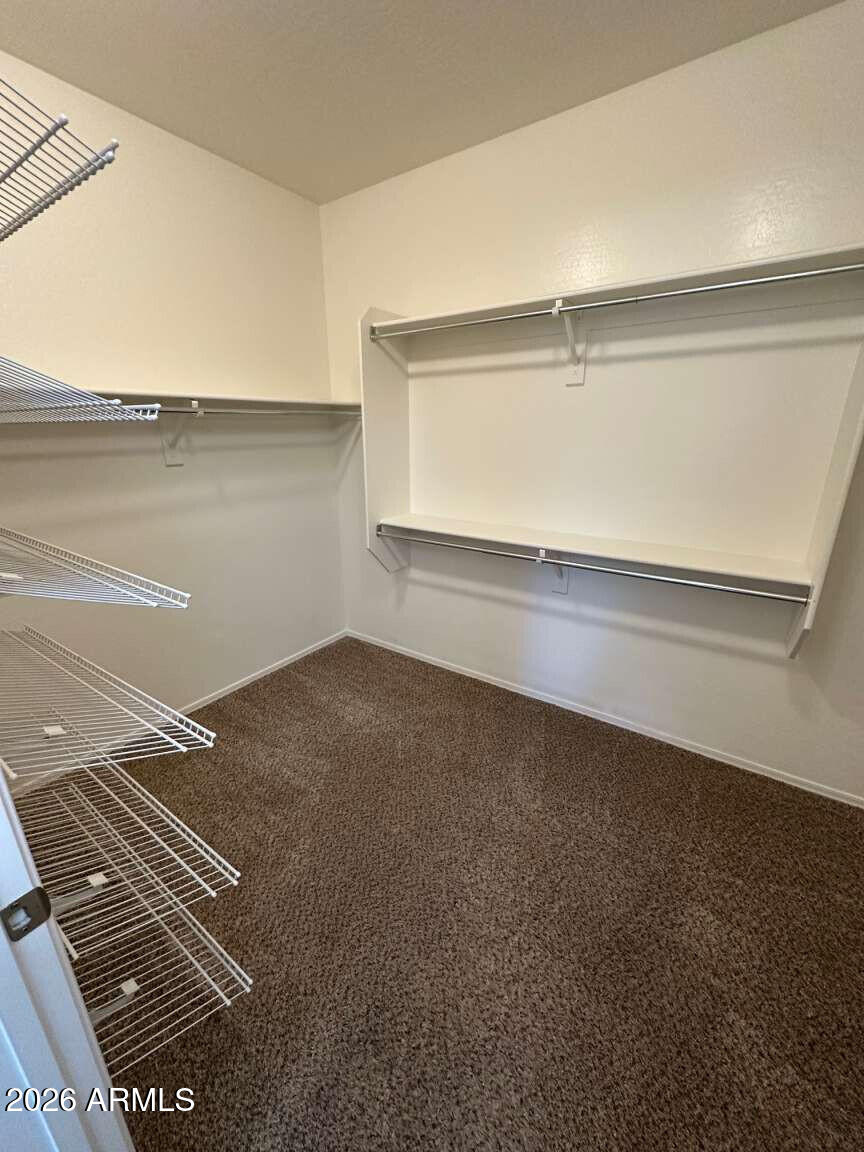 39508 North Prairie Lane Anthem, AZ 85086 - Photo 11 of 36 Burrow.11