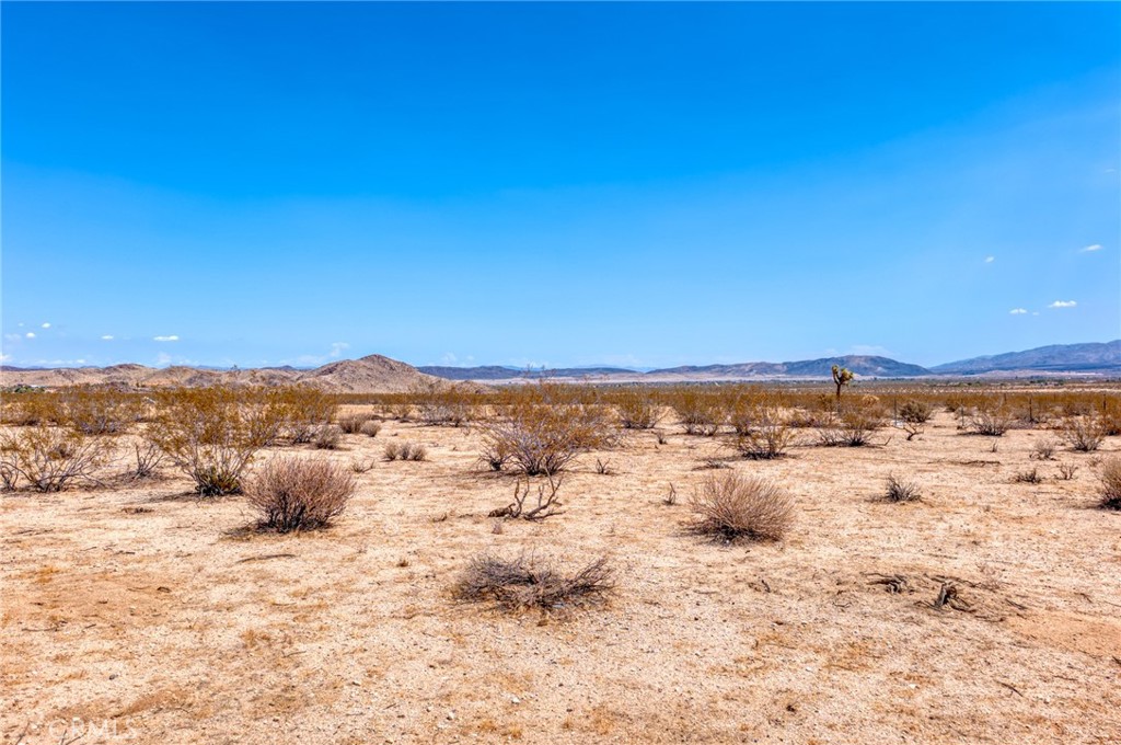 4687 Border Avenue Joshua Tree, CA 92252 - Photo 11 of 42
