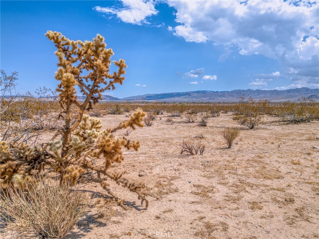4687 Border Avenue Joshua Tree, CA 92252 - Photo 14 of 42
