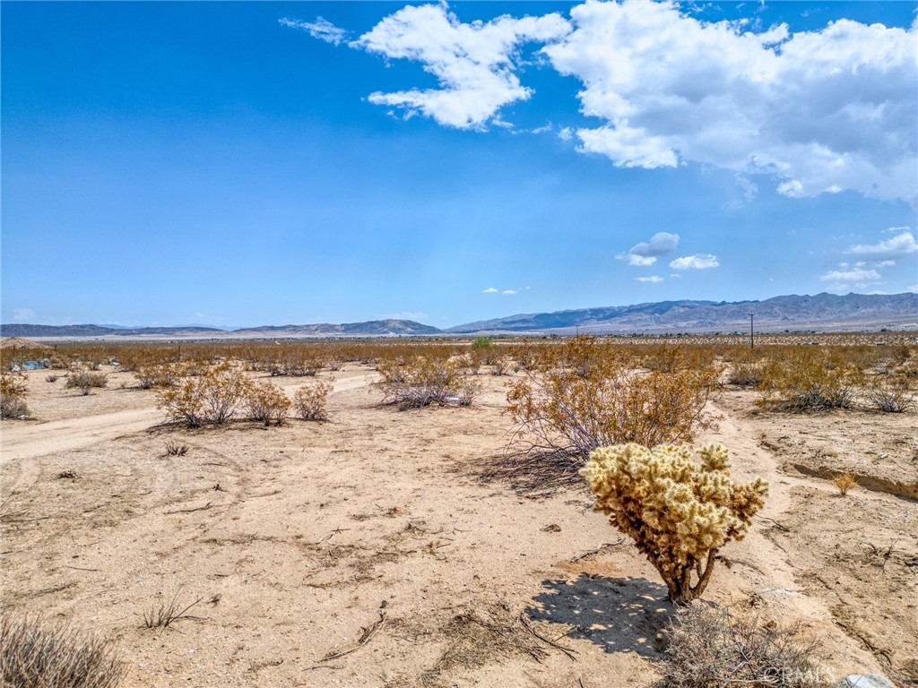 4687 Border Avenue Joshua Tree, CA 92252 - Photo 15 of 42