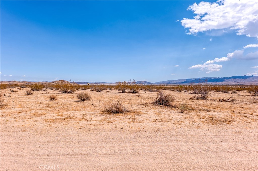 4687 Border Avenue Joshua Tree, CA 92252 - Photo 9 of 42