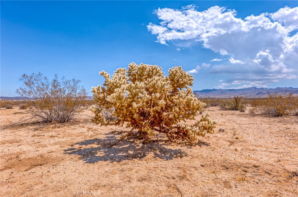 4687 Border Avenue Joshua Tree, CA 92252 - Photo 10 of 42
