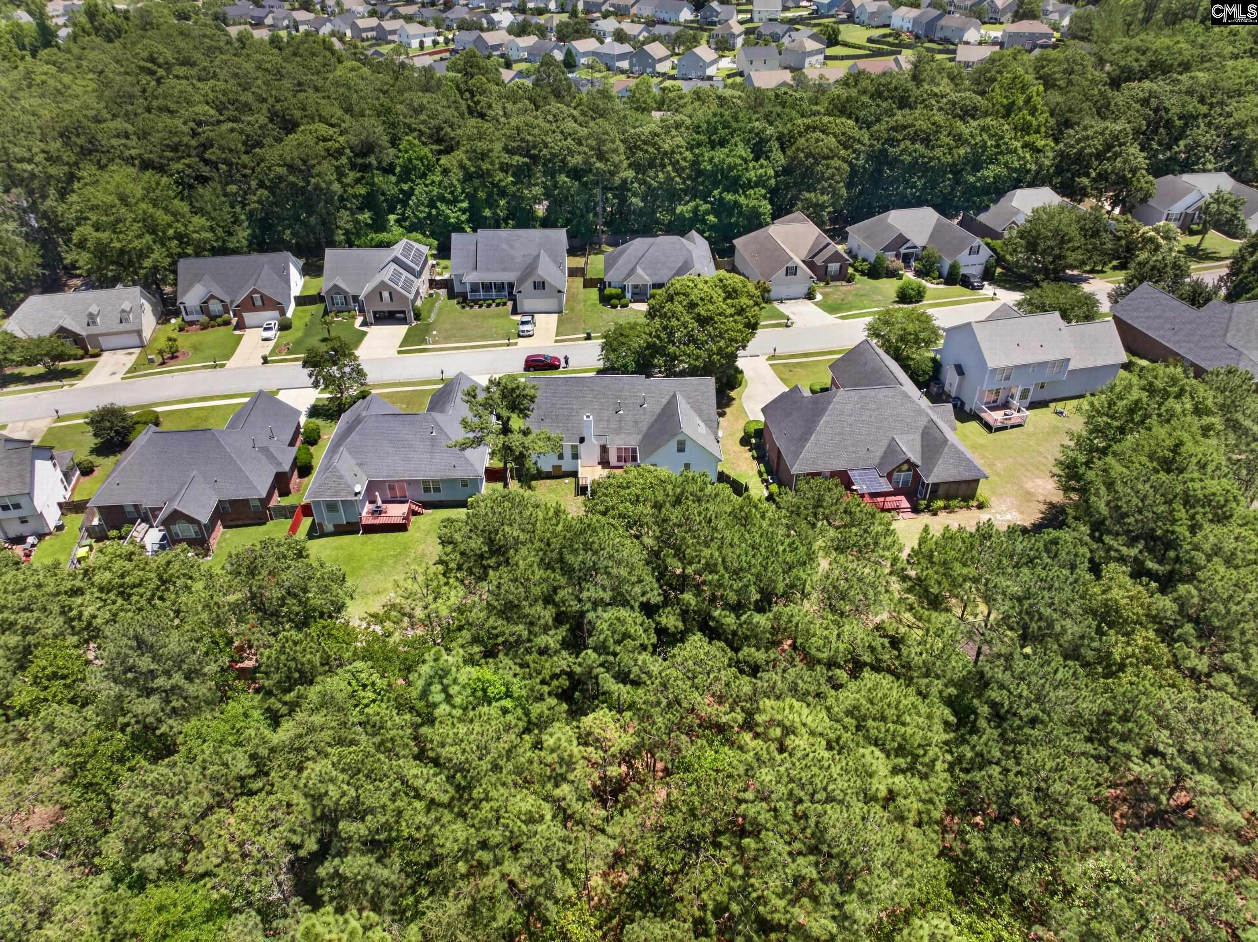 219 Plantation Pointe Drive Elgin, SC 29045 - Photo 49 of 56 an aerial view of a house with yard swimming pool and ocean view