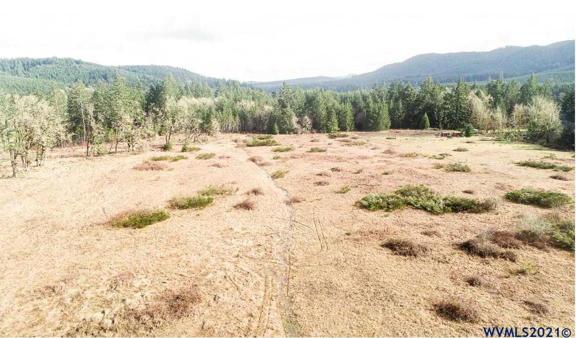 Gooseneck (parcel 289476) Road Sheridan, OR 97378 - Photo 7 of 23