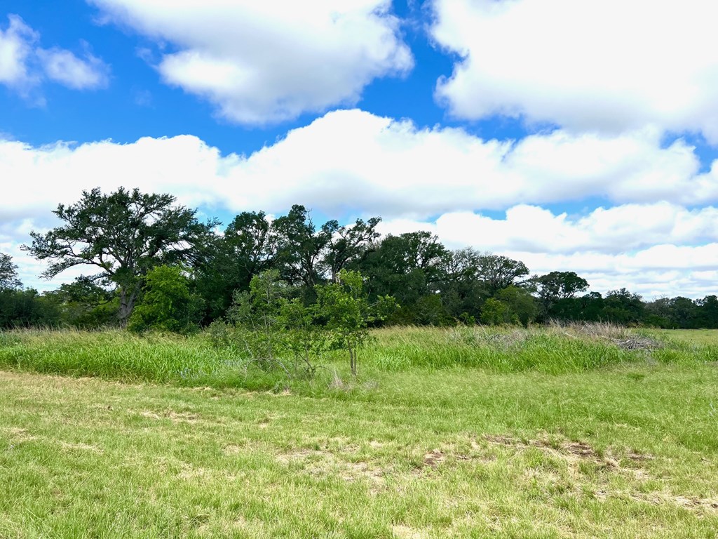 Tbd - Lot 43 A Tbd - Road, Unit 43A Blanco, TX 78606 - Photo 9 of 9 a view of a lake with a yard