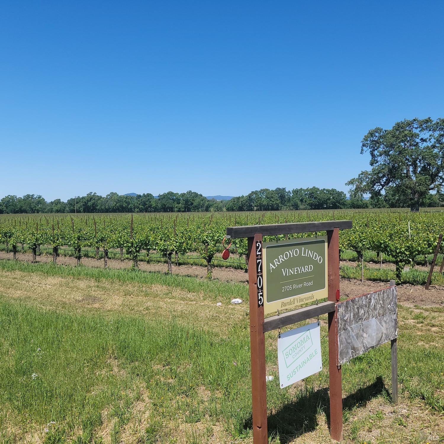 a view of outdoor space and yard
