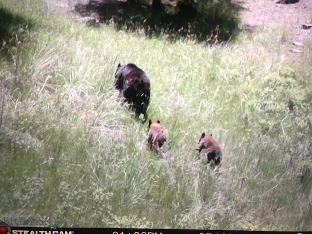 659 Deadmans Canyon Road Reed Point, MT 59069 - Photo 36 of 96 Gallery Image 36