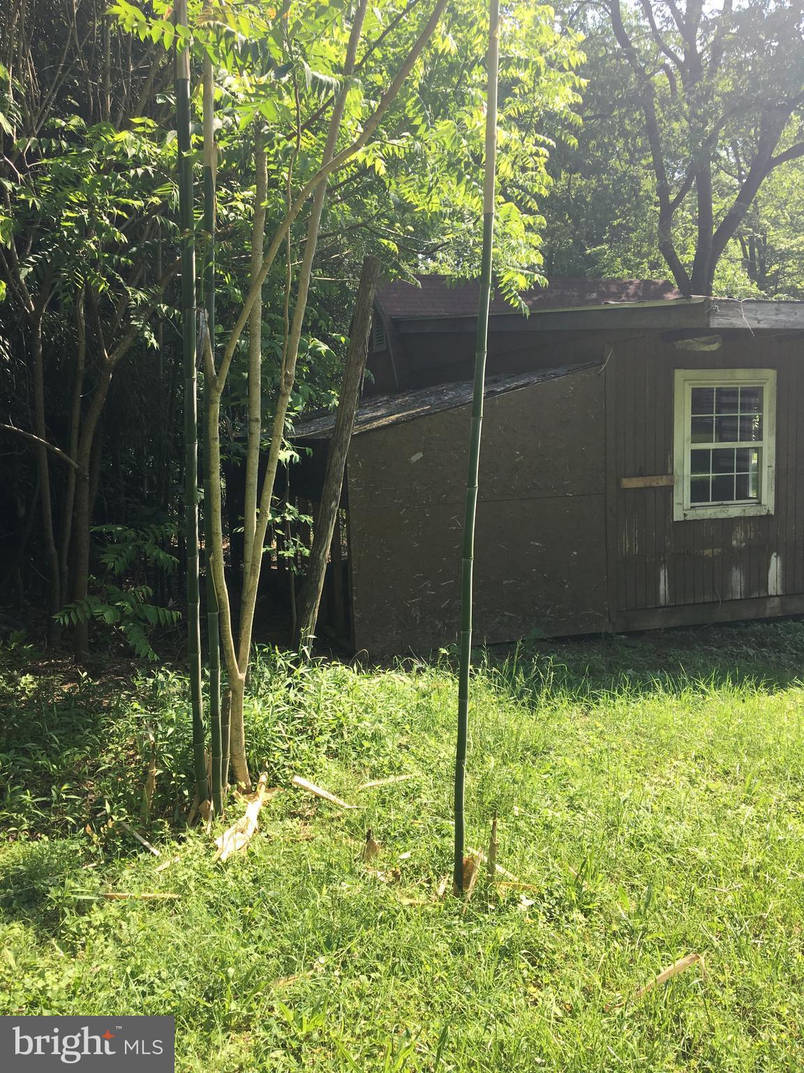 10418 Putman Road Thurmont, MD 21788 - Photo 7 of 26 shed