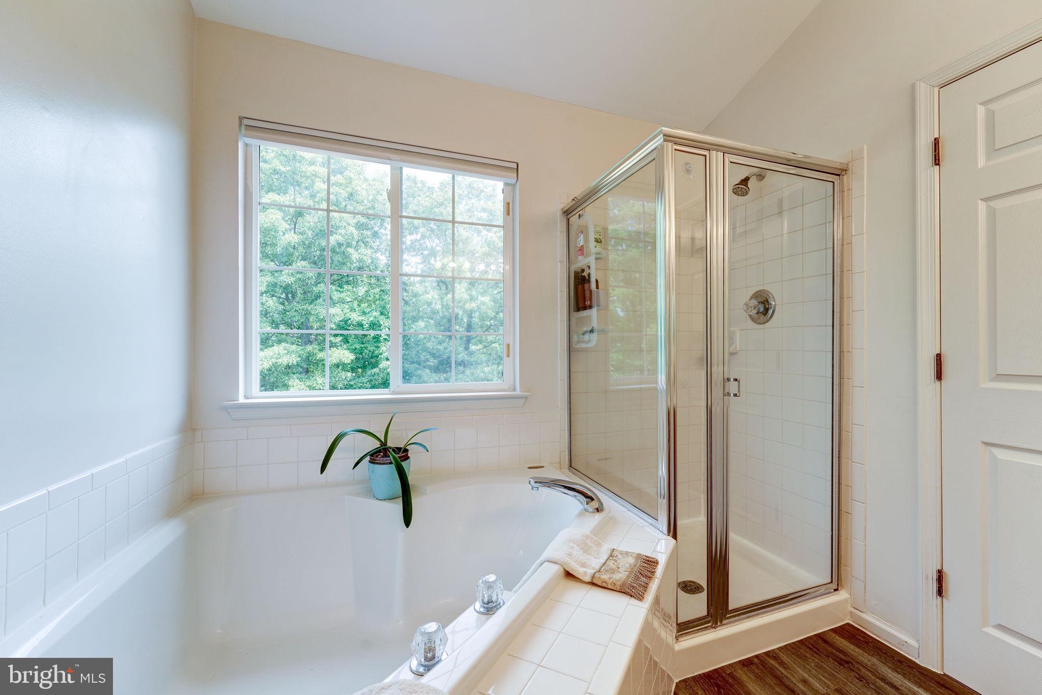 2703 Summers Ridge Drive Odenton, MD 21113 - Photo 23 of 56 Master Bath Shower