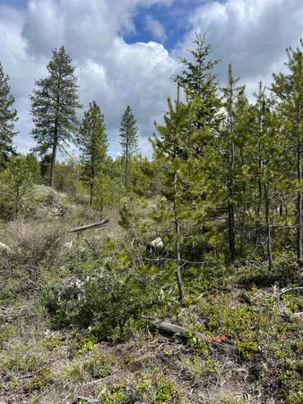 $255,000 | 2 Hwy Newport Wa 99156 Highway, Newport, WA 99156