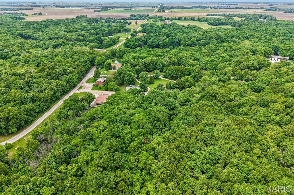 16016 Rugby Trail Litchfield, IL 62056 - Photo 42 of 48