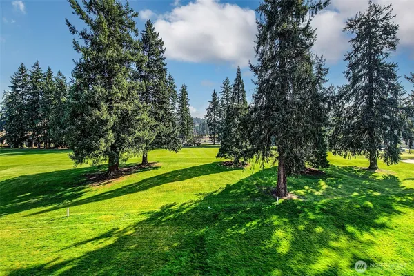 a view of a park with large trees