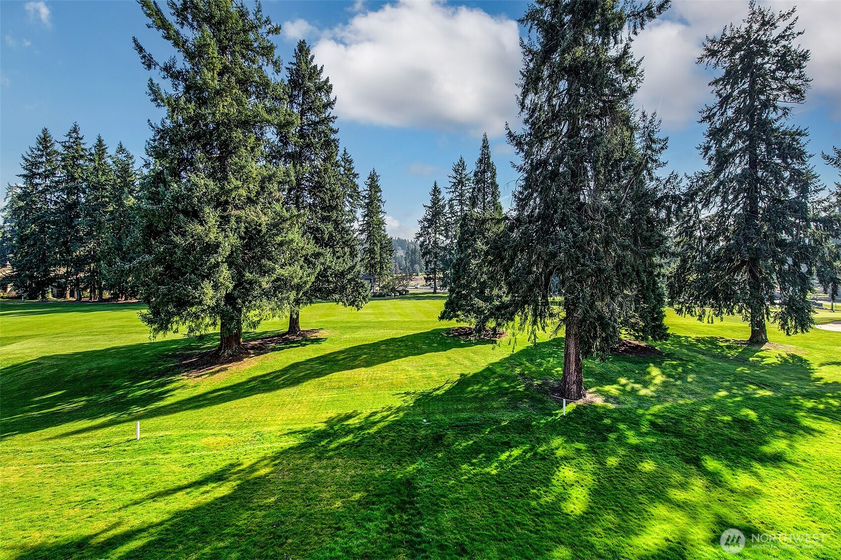 16929 Inglewood Road Northeast, Unit C305 Kenmore, WA 98028 - Photo 10 of 27 a view of a park with large trees
