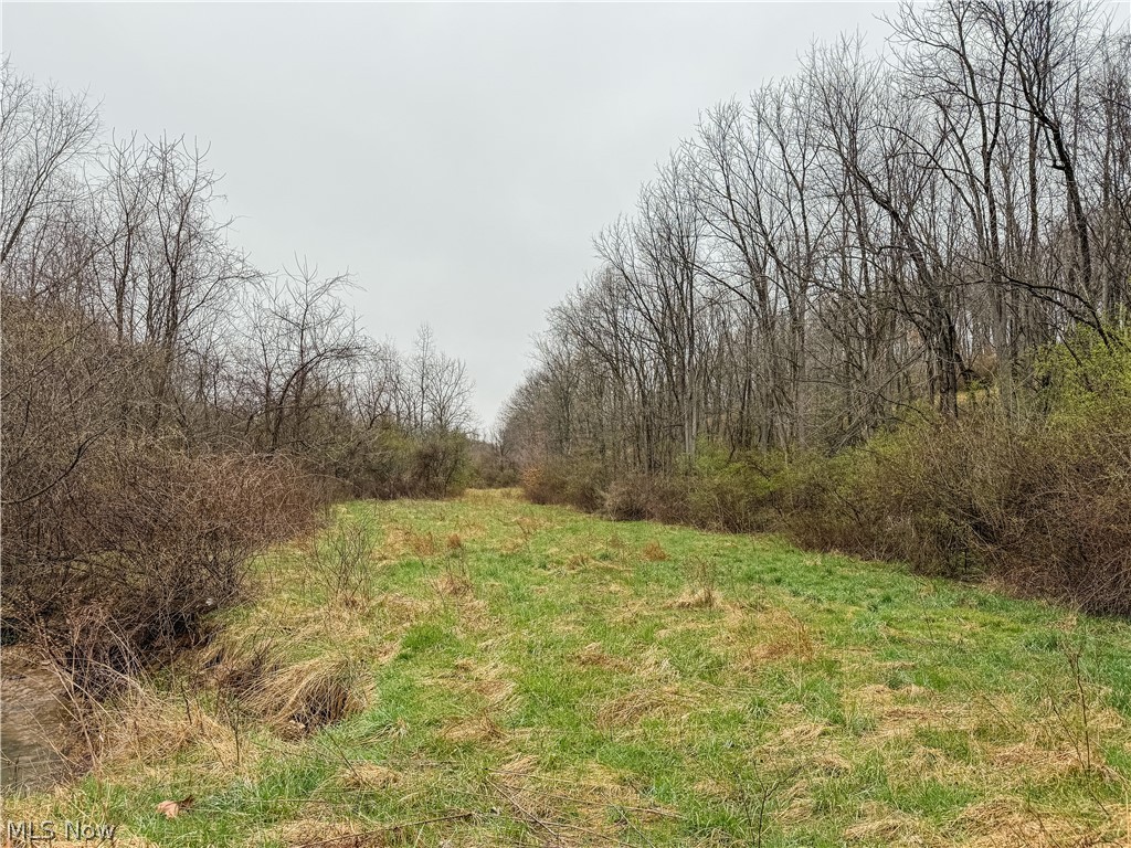 Buck Hill Road Frazeysburg, OH 43822 - Photo 10 of 24