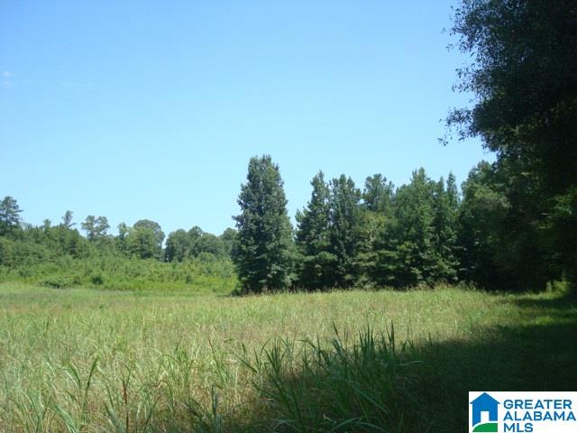 0 Dabbs Road, Unit 19 & 20 Oxford, AL 36203 - Photo 19 of 33