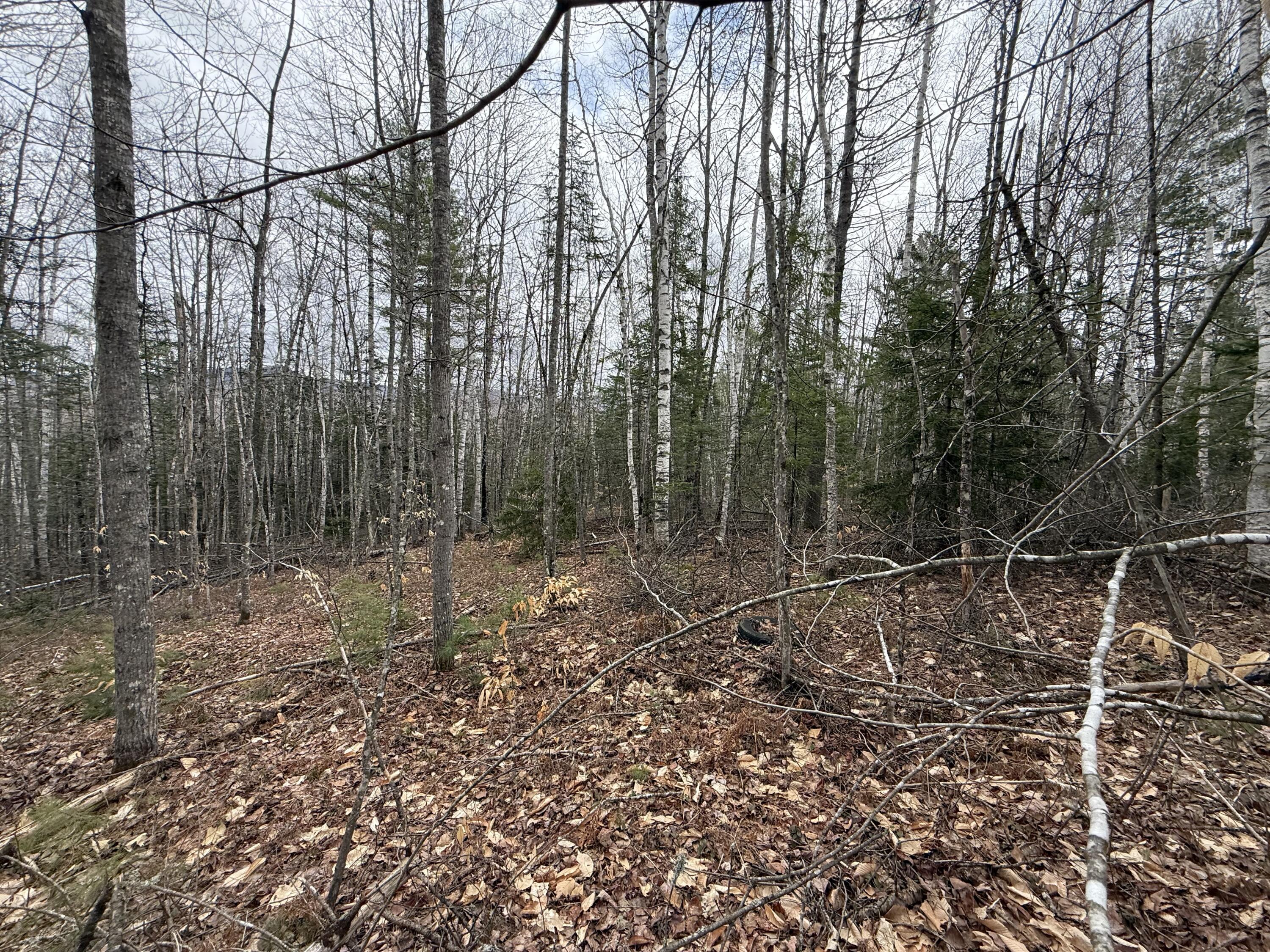 L12 Fuller Road Carthage, ME 04224 - Photo 5 of 10