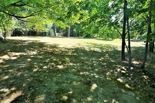 a view of outdoor space with trees all around