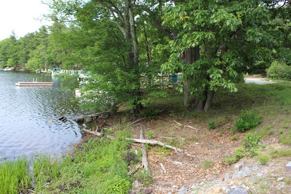 21 Mulpus Road Lunenburg, MA 01462 - Photo 19 of 24 a view of a forest with a tree