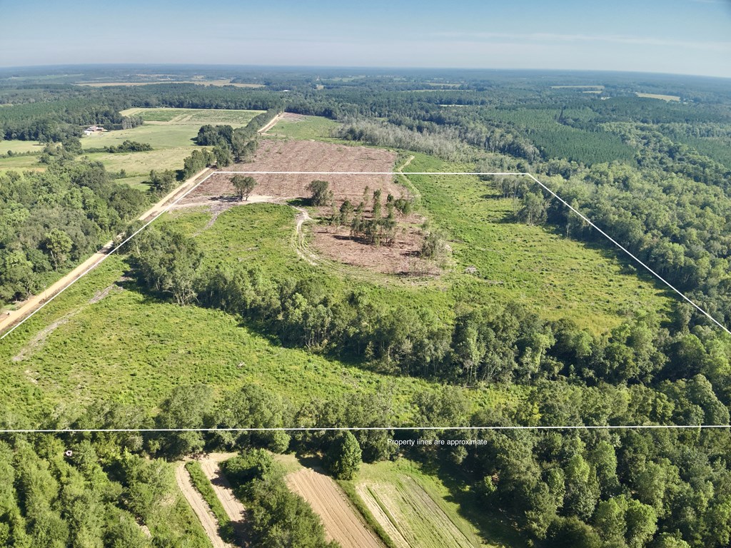 Undisclosed Address Slocomb, AL 36375 - Photo 2 of 23
