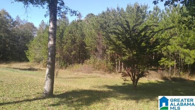 4208 Blue Cutt Road Pell City, AL 35128 - Photo 22 of 29