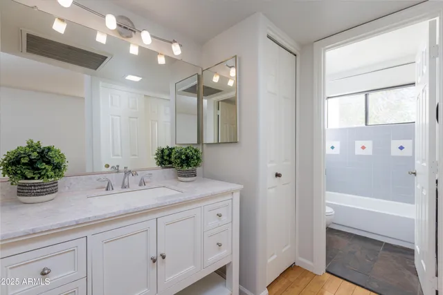 a bathroom with a sink a faucet a potted plant and a mirror