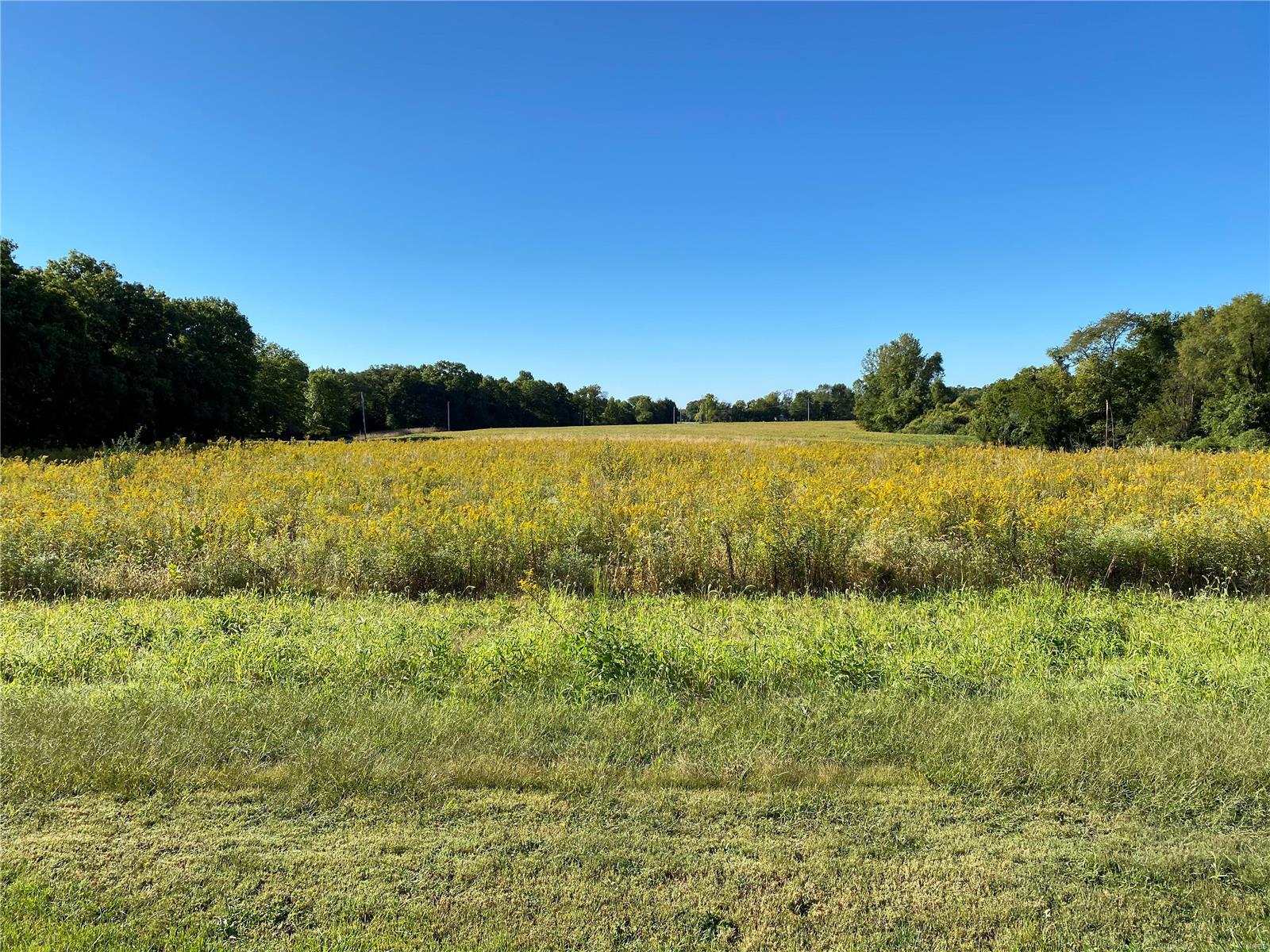0 Seminary Road Brighton, IL 62012 - Photo 11 of 16