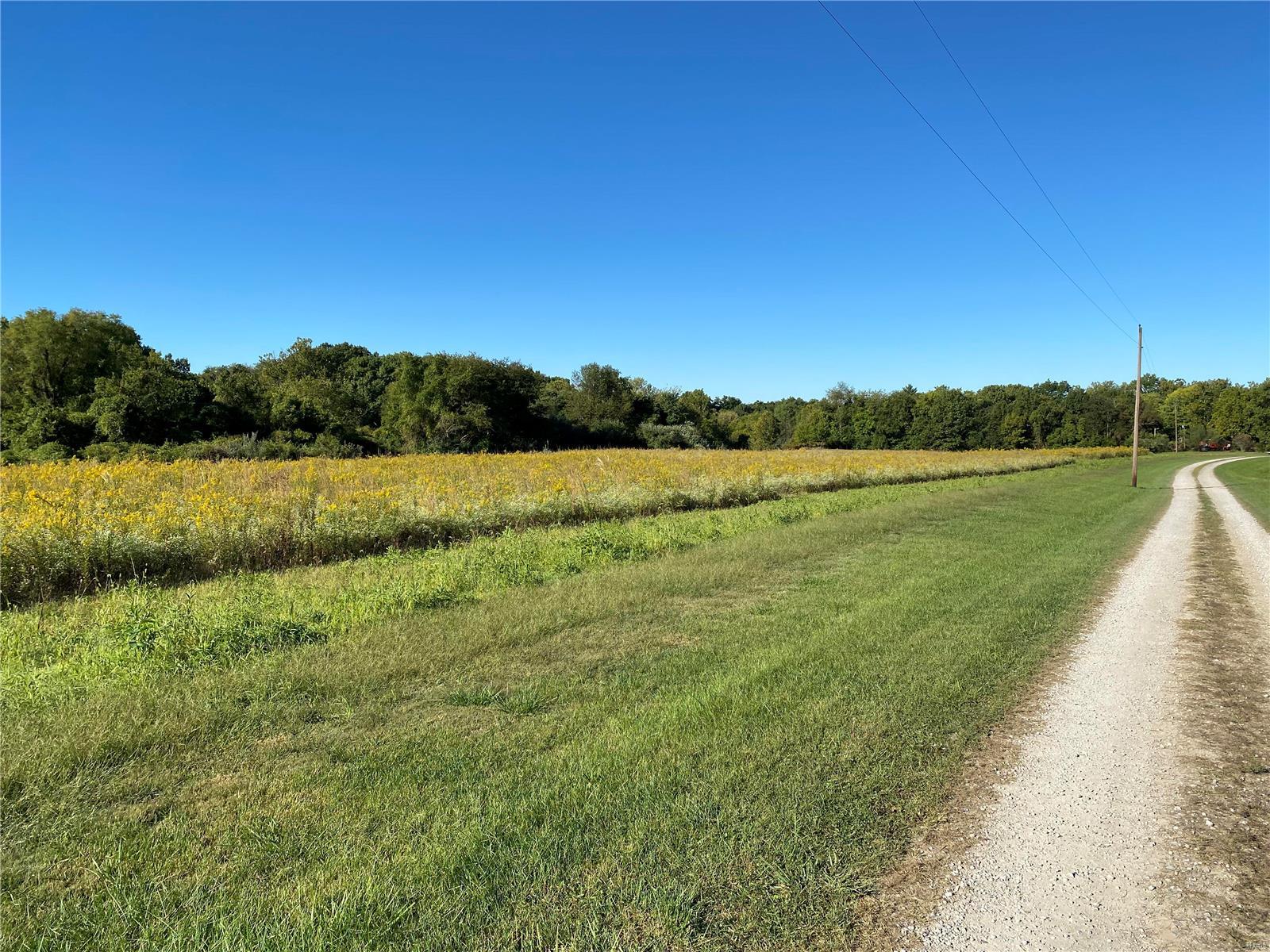 0 Seminary Road Brighton, IL 62012 - Photo 12 of 16