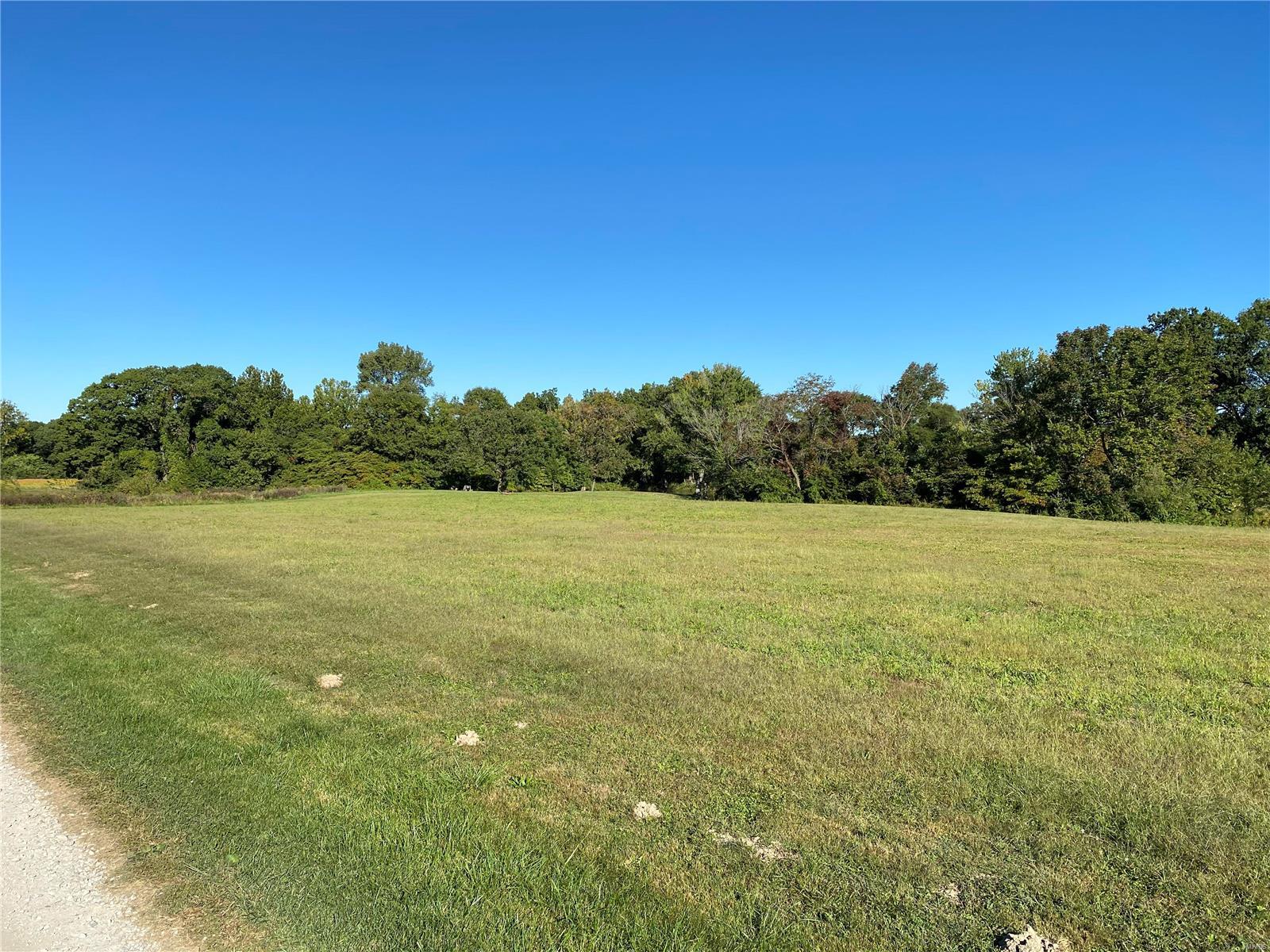 0 Seminary Road Brighton, IL 62012 - Photo 13 of 16