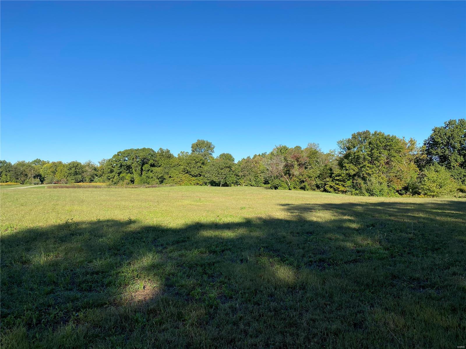 0 Seminary Road Brighton, IL 62012 - Photo 15 of 16