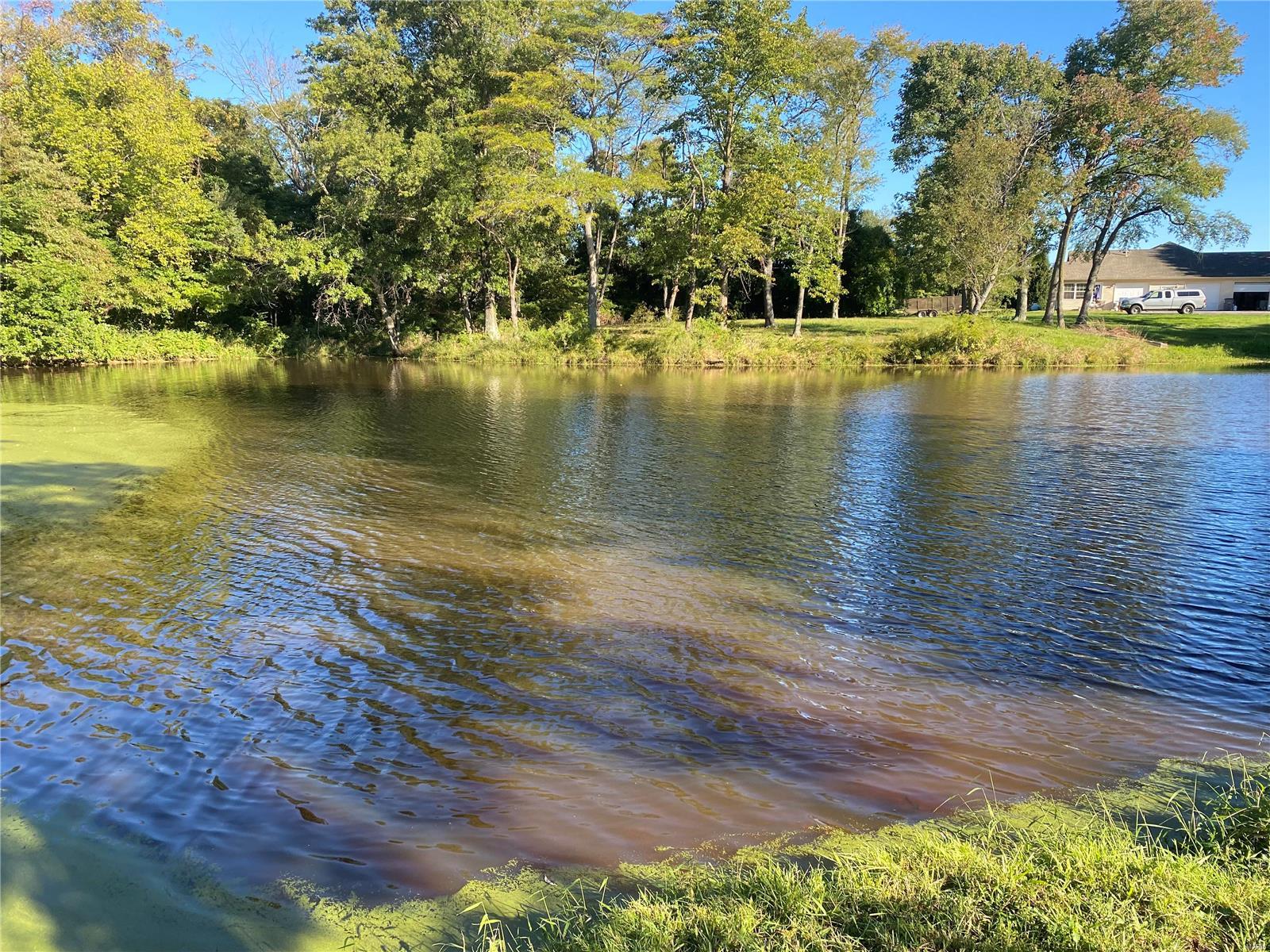 0 Seminary Road Brighton, IL 62012 - Photo 2 of 16