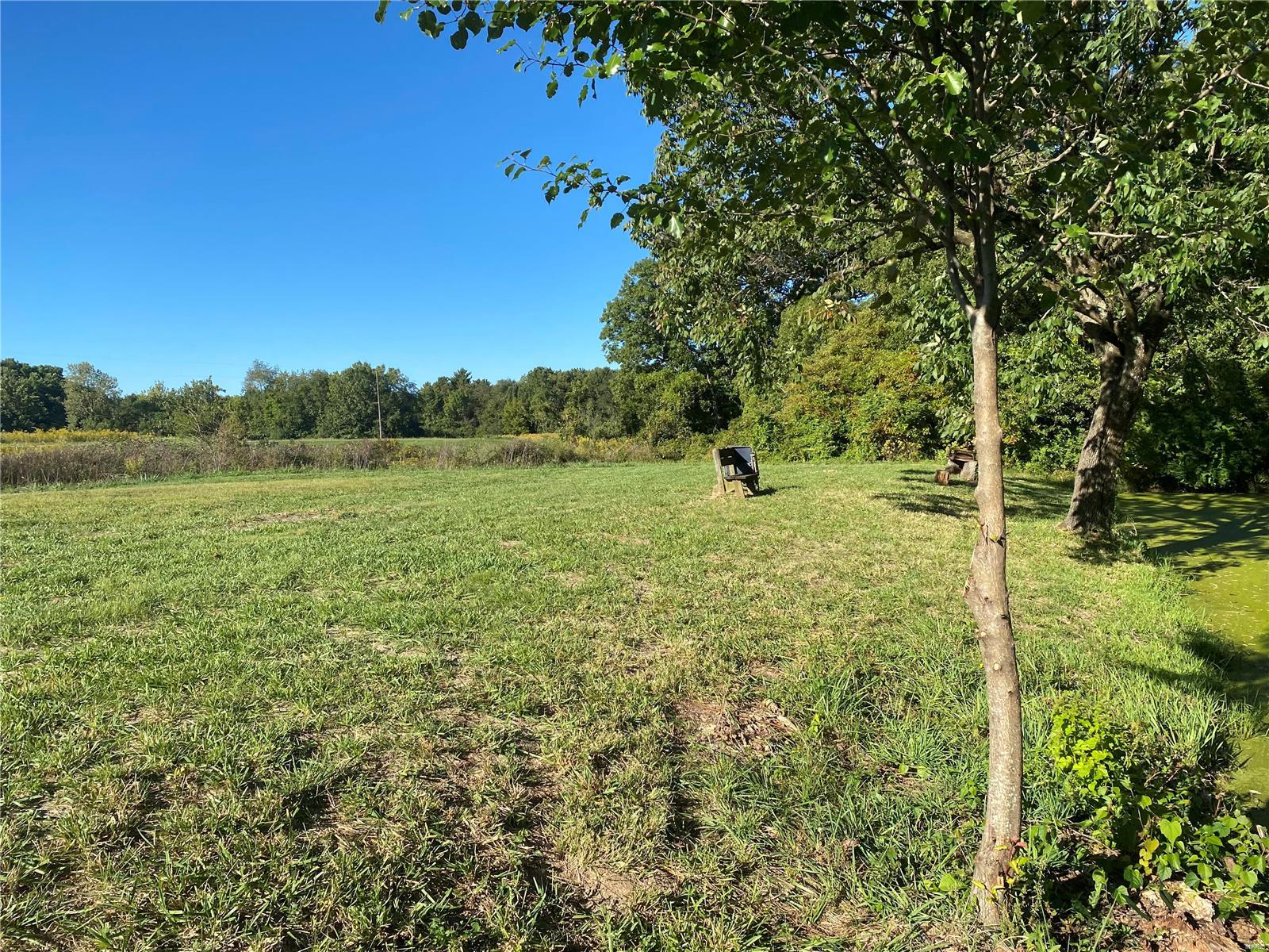 0 Seminary Road Brighton, IL 62012 - Photo 3 of 16