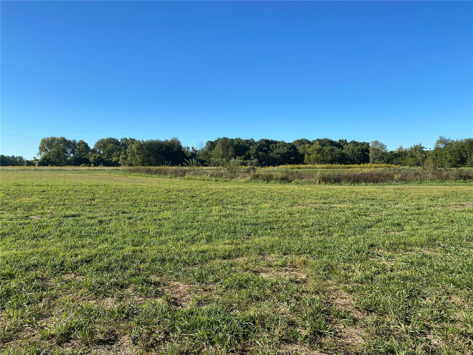 0 Seminary Road Brighton, IL 62012 - Photo 4 of 16