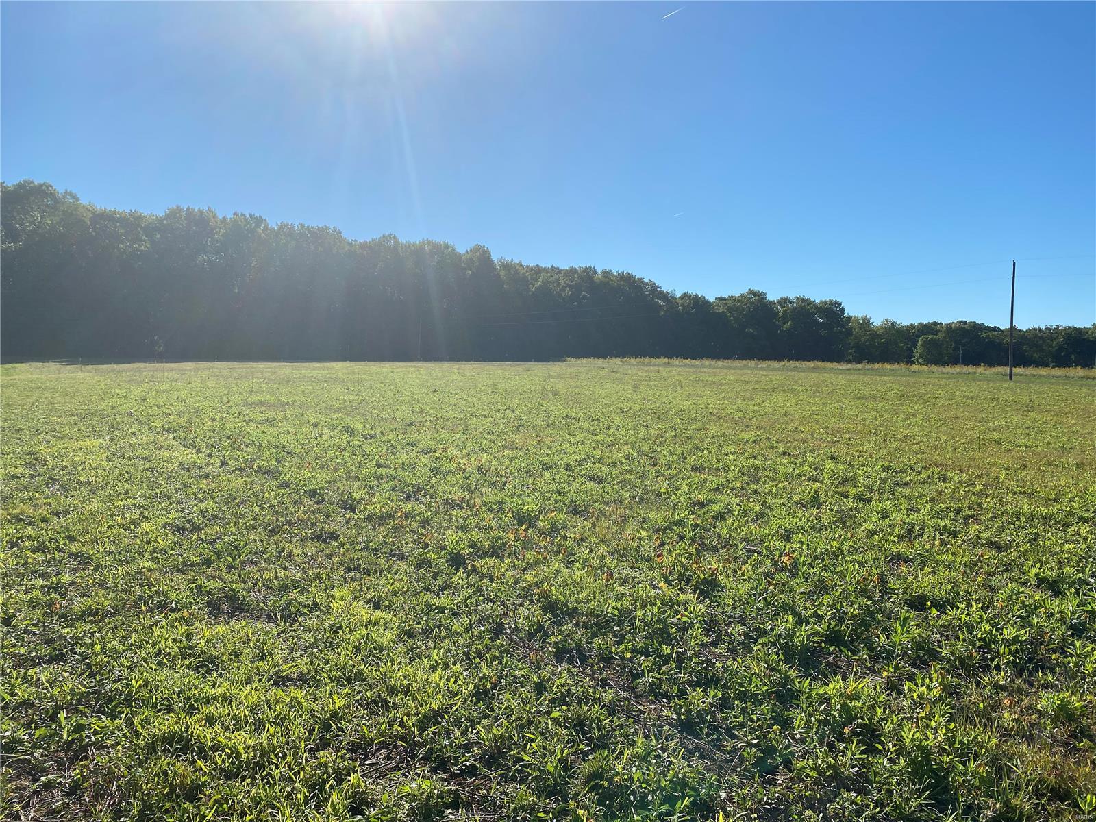 0 Seminary Road Brighton, IL 62012 - Photo 5 of 16