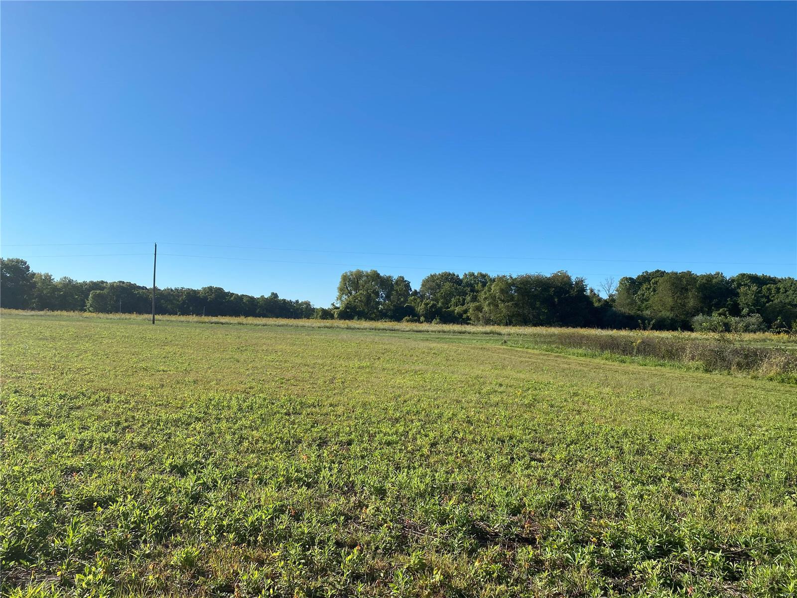 0 Seminary Road Brighton, IL 62012 - Photo 6 of 16