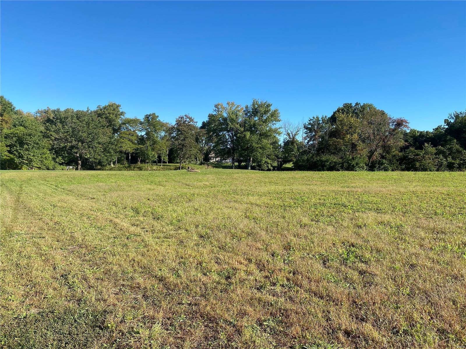 0 Seminary Road Brighton, IL 62012 - Photo 7 of 16