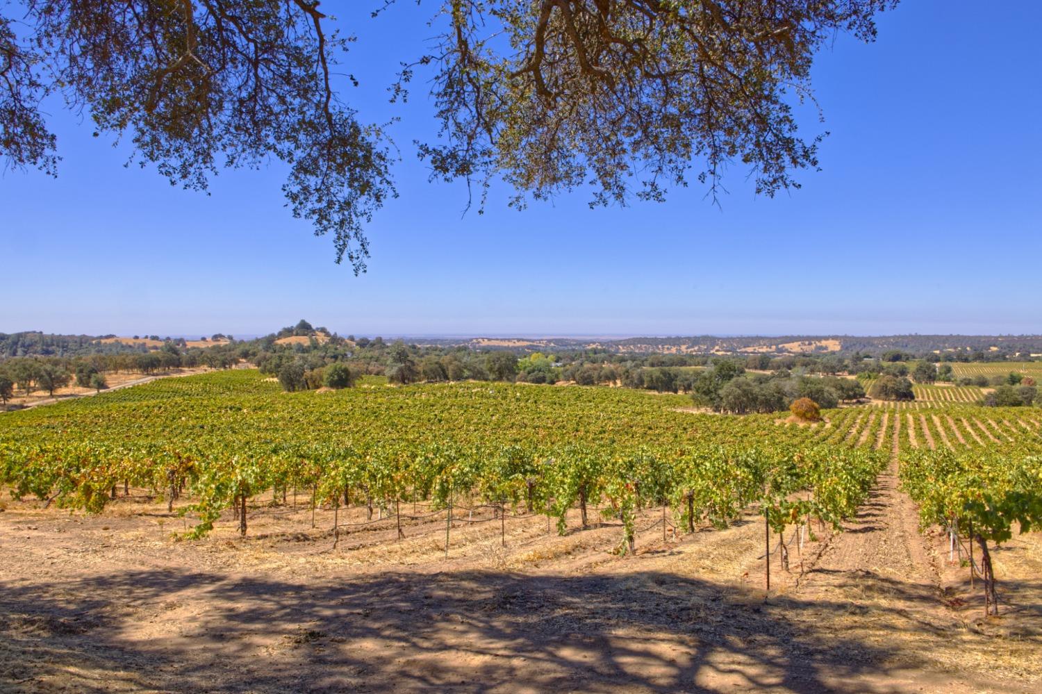 0 Shenandoah School Road Plymouth, CA 95669 - Photo 2 of 5 a view of an ocean view