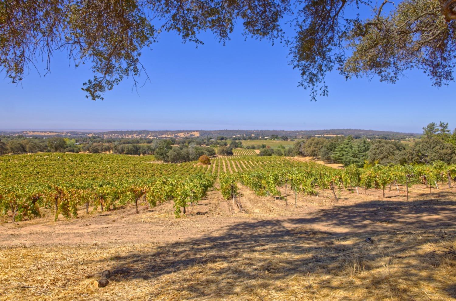 0 Shenandoah School Road Plymouth, CA 95669 - Photo 3 of 5 a view of an ocean beach