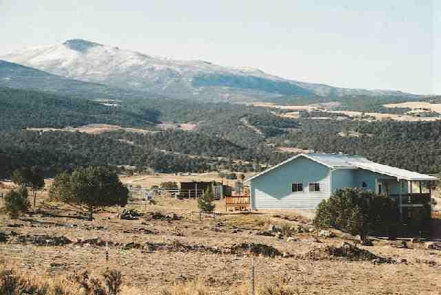 4550 320th Road Rifle, CO 81650 - Photo 1 of 3 Primary Photo