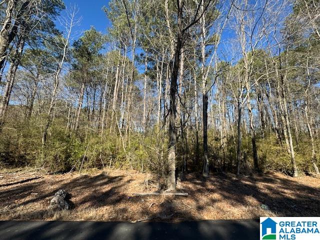 437 Hall Burton Road, Unit 1 Sumiton, AL 35148 - Photo 1 of 6