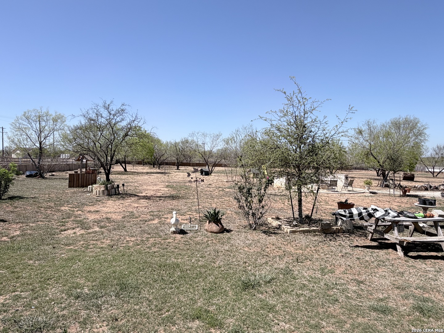 152 County Roads 2667 Devine, TX 78016 - Photo 3 of 51 a view of a yard with a tree
